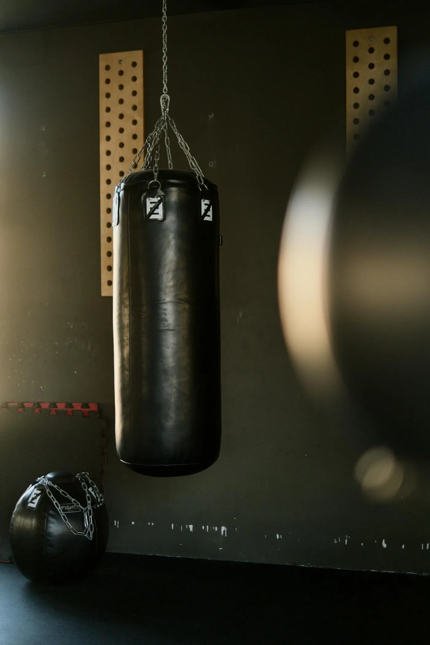 Boxer preparing for training