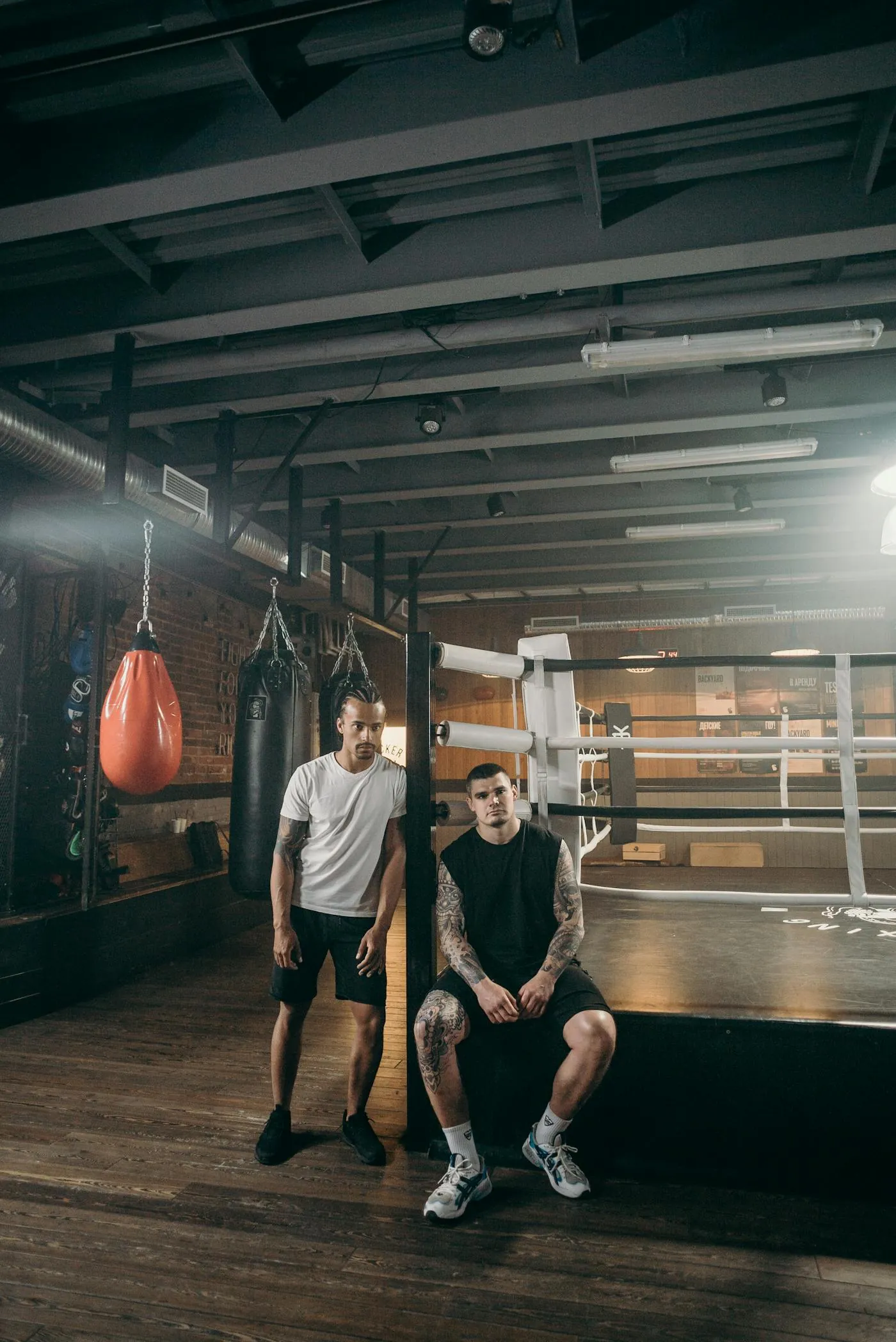 Boxer focusing before a session